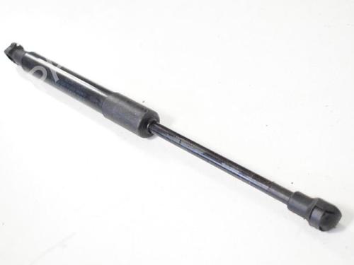 Used Hood lift support BMW 5 Gran Turismo (F07) 530 d (258 hp) 14766813