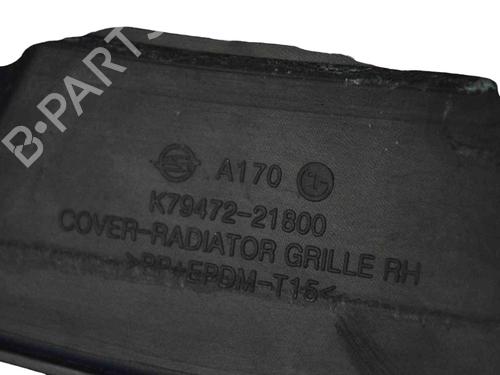 Grille SSANGYONG RODIUS II 2.2 Xdi | BP16542587C40 