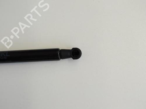 Tailgate lift support BMW 3 Coupe (E92) M3 | BP14811271C138 