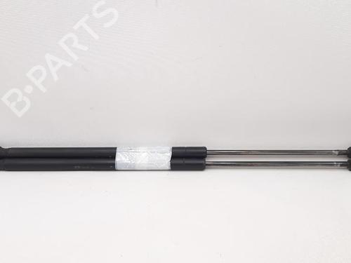 Tailgate lift support FORD FUSION (JU_) 1.4 TDCi | BP27947368C138 