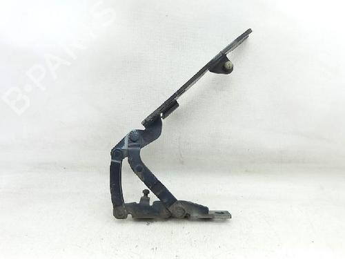 Hinge/Door check strap BMW X5 (E53) 3.0 d | BP27956935C146 