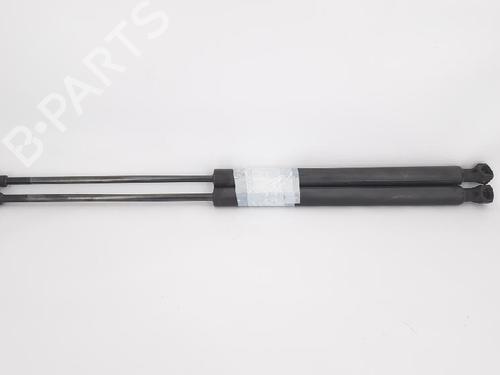 Tailgate lift support PEUGEOT 207 (WA_, WC_) 1.4 | BP27964725C138 