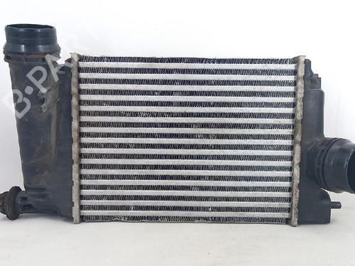 Intercooler NISSAN QASHQAI II (J11, J11_) 1.5 dCi | BP27951422M30 