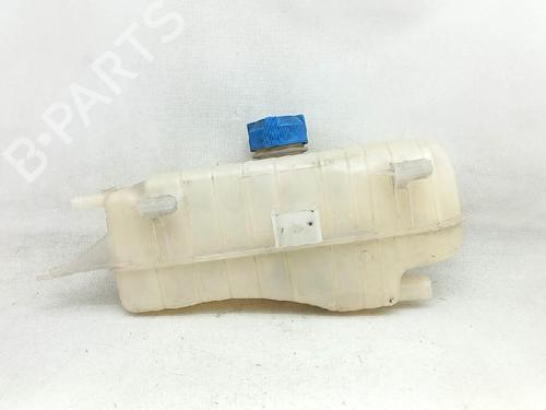 Expansion tank RENAULT CLIO III (BR0/1, CR0/1) 1.2 16V (BR02, BR0J, BR11, CR02, CR0J, CR11) | BP27934843C120 