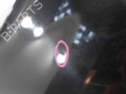 Right rear door RENAULT CLIO III (BR0/1, CR0/1) 1.5 dCi (BR17, CR17) | BP27952660C5 