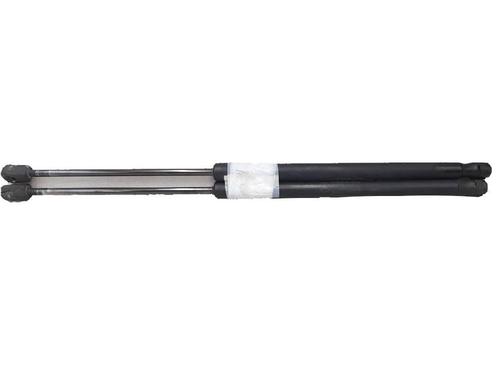 Used Tailgate lift support MERCEDES-BENZ A-CLASS (W169) A 160 CDI (169.006, 169.306) (82 hp) 27952560