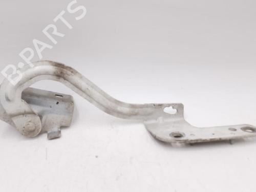 Hinge/Door check strap RENAULT MODUS / GRAND MODUS (F/JP0_) 1.2 (JP0C, JP0K, FP0C, FP0K, FP0P, JP0P, JP0T) | BP27943414C146 