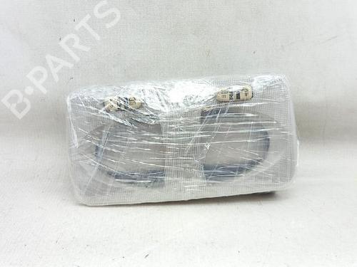 Interior roof light LANCIA MUSA (350_) 1.3 D Multijet (350.AXG11, 350.AXG1A) | BP27954648I8