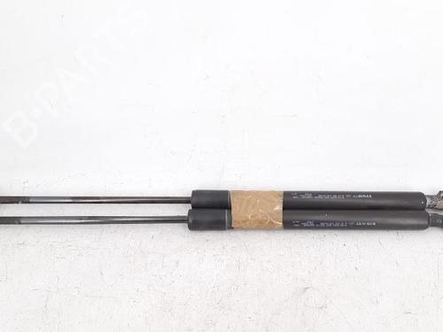 Tailgate lift support DACIA SANDERO II 1.5 dCi 75 / Blue dCi 75 (B8JW, B8M4, B8AH, B8M7, B8M6) | BP27949420C138 