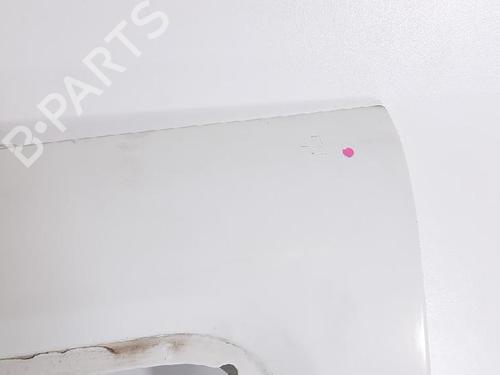 Left front door FIAT DOBLO Box Body/MPV (223_) 1.4 | BP27953919C2 
