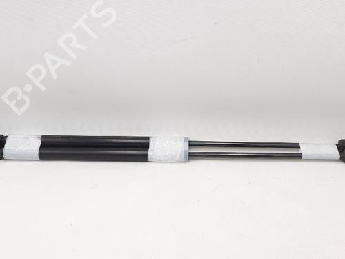 Tailgate lift support NISSAN MICRA III (K12) 1.5 dCi | BP27947335C138