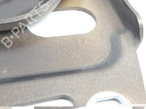 Hinge/Door check strap FIAT CROMA (194_) 1.8 16V (194AXG1A) | BP27945243C146 