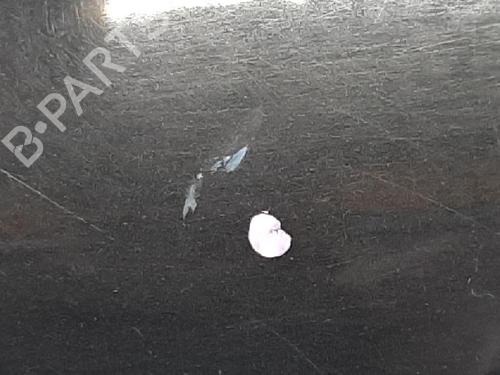 Right front door RENAULT CLIO III (BR0/1, CR0/1) 1.2 16V (BR02, BR0J, BR11, CR02, CR0J, CR11) | BP27950750C3 
