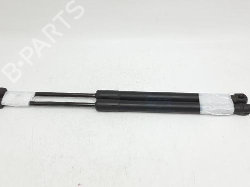 Gassdemper Bakluke SKODA ROOMSTER (5J7) 1.4 TDI | BP27944062C138