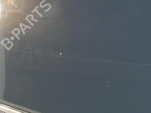 Left rear door LANCIA MUSA (350_) 1.3 D Multijet (350.AXG11, 350.AXG1A) | BP27954643C4 