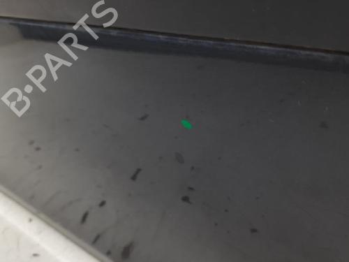 Right front door RENAULT CLIO III (BR0/1, CR0/1) 1.5 dCi (C/BR0G, C/BR1G) | BP27966312C3 