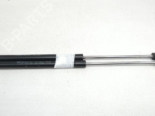 Tailgate lift support RENAULT MEGANE II (BM0/1_, CM0/1_) 1.5 dCi (BM1E, CM1E) | BP27947768C138 