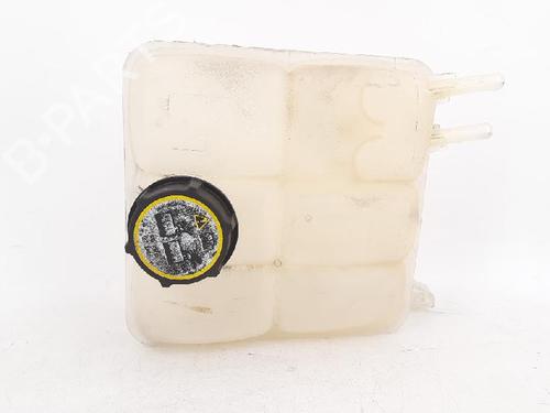 Expansion tank FORD C-MAX (DM2) 1.6 TDCi | BP27945494C120