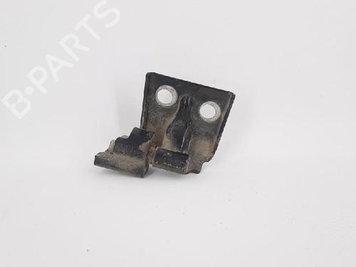 Hinge/Door check strap LANCIA MUSA (350_) 1.3 D Multijet (350.AXG11, 350.AXG1A) | BP27964296C146 