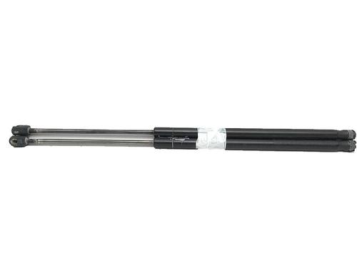 Gassdemper Bakluke FORD FUSION (JU_) 1.4 TDCi (68 hp) 27947765