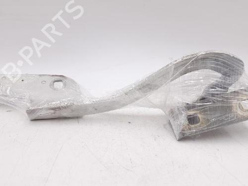 Hinge/Door check strap RENAULT MODUS / GRAND MODUS (F/JP0_) 1.2 (JP0C, JP0K, FP0C, FP0K, FP0P, JP0P, JP0T) | BP27943414C146 