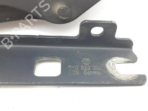 Hinge/Door check strap VW GOLF PLUS V (5M1, 521) 1.6 TDI | BP27967054C146 