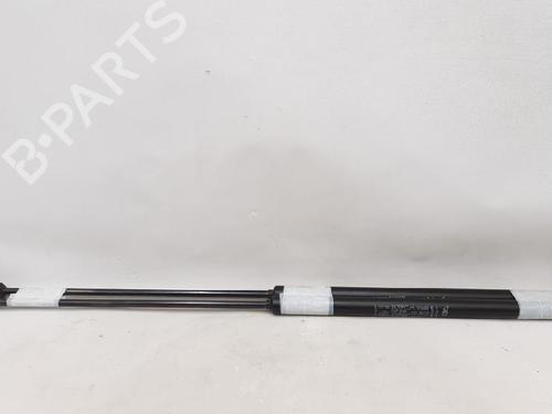 Tailgate lift support FIAT CROMA (194_) 1.9 D Multijet | BP27946523C138 