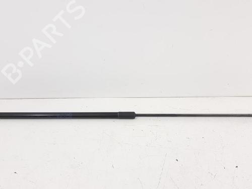 Hood lift support VW CC B7 (358) 1.4 TSI | BP27937138C139 