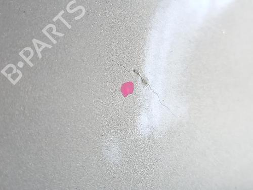 Right front door VW POLO (9N_, 9A_) 1.2 12V | BP27952712C3 