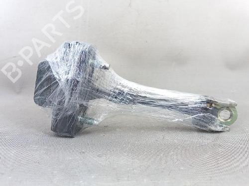 Hinge/Door check strap LANCIA DELTA III (844_) 1.4 (844.AXA1A) | BP27953527C146 
