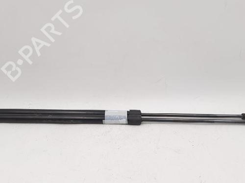 Tailgate lift support PEUGEOT 206 SW (2E/K) 2.0 HDi | BP27947384C138 