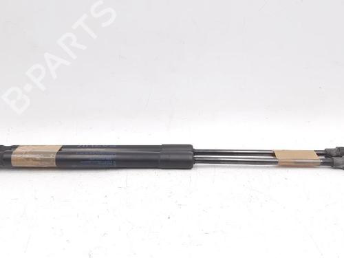 Tailgate lift support BMW 1 (E87) 118 d | BP27948862C138 