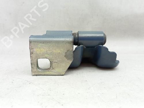Hinge/Door check strap LANCIA MUSA (350_) 1.3 D Multijet (350.AXG11, 350.AXG1A) | BP27954672C146 