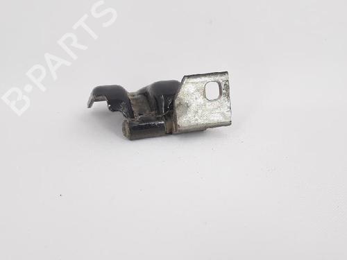 Hinge/Door check strap LANCIA MUSA (350_) 1.3 D Multijet (350.AXG11, 350.AXG1A) | BP27964296C146 