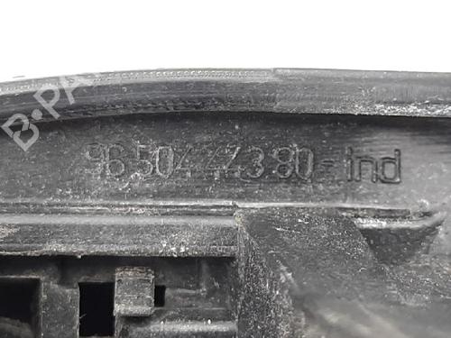 Rear right exterior door handle CITROËN C3 I (FC_, FN_) 1.4 HDi | BP27939201C130 