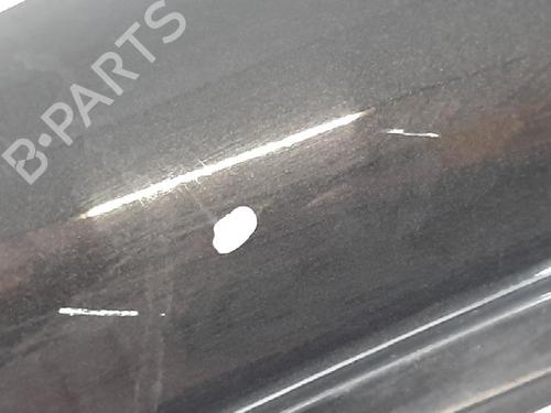 Left front door NISSAN PRIMASTAR Van (X83) 2.5 dCi 140 | BP27950751C2 