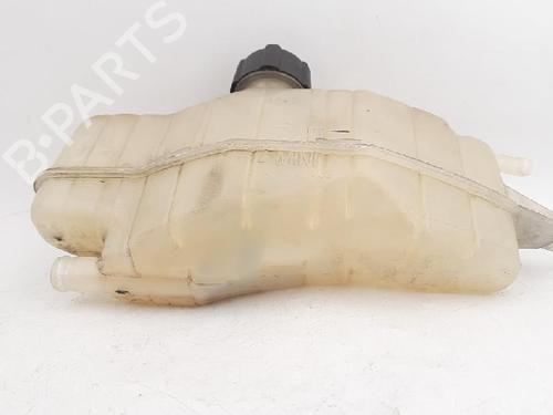 Expansion tank RENAULT CLIO III (BR0/1, CR0/1) 1.2 16V (BR02, BR0J, BR11, CR02, CR0J, CR11) | BP27947218C120 