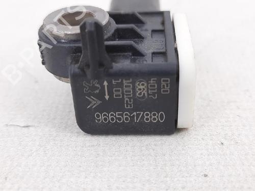 Elektronisk sensor PEUGEOT 207 (WA_, WC_) 1.4 | BP27939845M84 