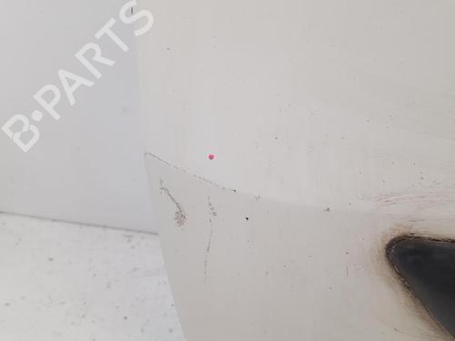 Left front door FIAT FIORINO Box Body/MPV (225_) 1.3 D Multijet (225BXD1A, 225BXB1A, 225BXB11) | BP27966356C2