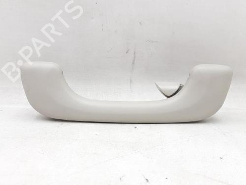 Håndtag i tag RENAULT GRAND SCÉNIC II (JM0/1_) 1.9 dCi (JM0G, JM12, JM1G, JM2C) | BP27955831I35 