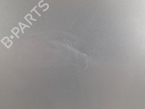 Left front door FORD KA (RB_) 1.3 i | BP27966360C2 