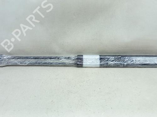 Tailgate lift support FIAT BRAVO II (198_) 1.6 D Multijet (198AXH1B) | BP27955834C138 