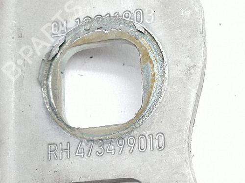 Hinge/Door check strap OPEL CORSA D (S07) 1.0 (L08, L68) | BP27946939C146 