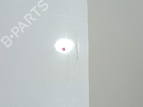 Right front door FORD TRANSIT CONNECT (P65_, P70_, P80_) 1.8 TDCi | BP27959354C3 