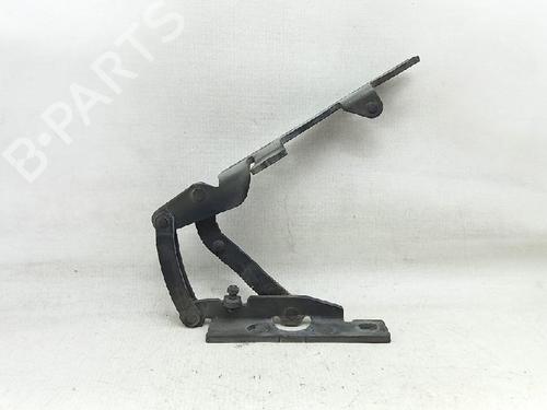 Hinge/Door check strap BMW X5 (E53) 3.0 d | BP27956934C146 