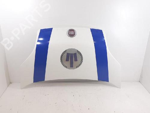 Hood FIAT FIORINO Box Body/MPV (225_) 1.4 Natural Power (225BXC1A, 225AXC1A) | BP27953902C1 