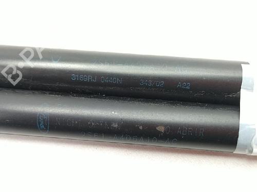 Tailgate lift support FORD FIESTA V (JH_, JD_) 1.25 16V | BP27947367C138 