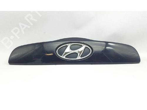 Used Door moulding trim HYUNDAI GETZ (TB) 1.1 (63 hp) 27962882