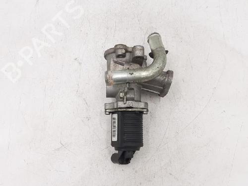 Egr FIAT PANDA (169_) 1.3 D Multijet (169.AXC1A) | BP27944614M69 