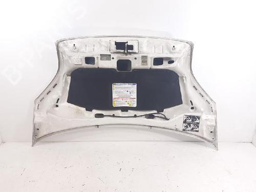 Hood FIAT FIORINO Box Body/MPV (225_) 1.4 Natural Power (225BXC1A, 225AXC1A) | BP27953902C1 
